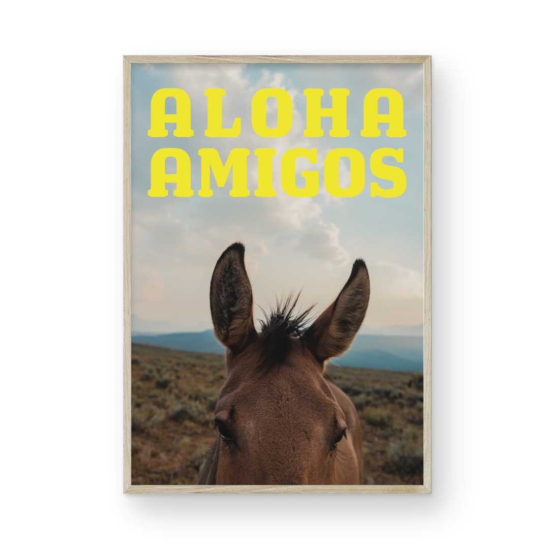 Aloha Amigos – Raili CA Design
